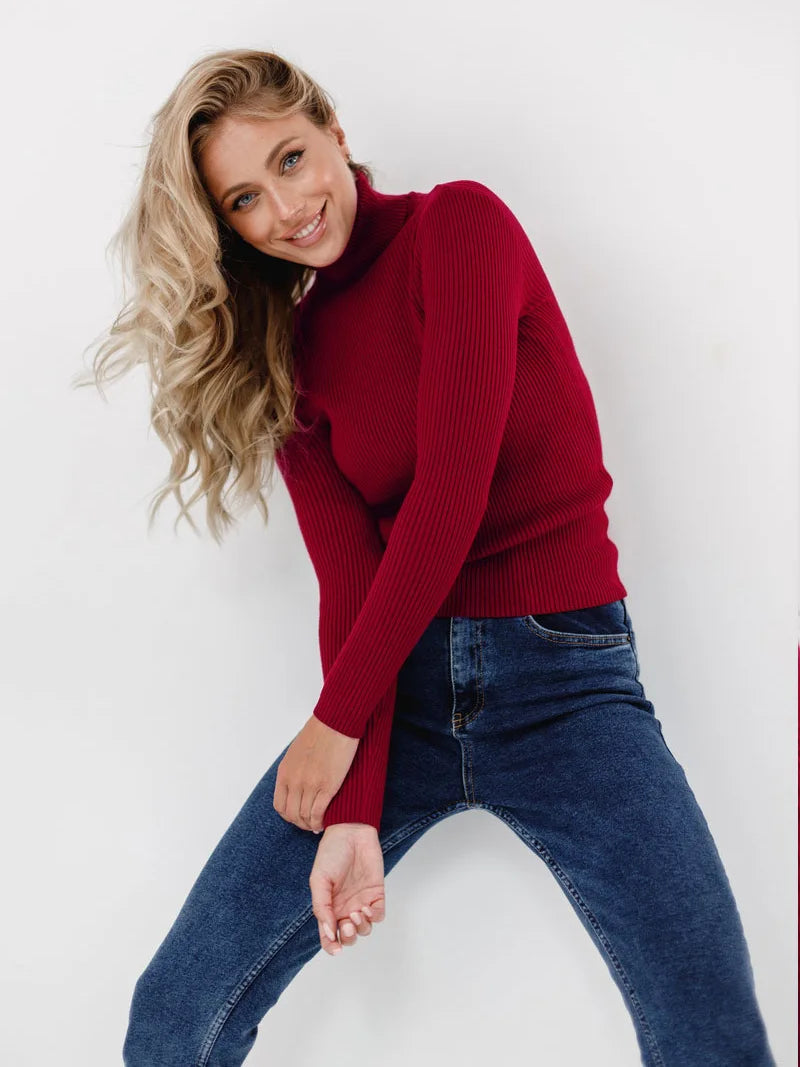 Knitted Basic Turtleneck Sweaters